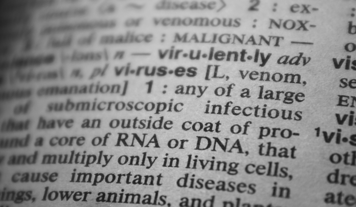 Jasa penerjemah tersumpah bahasa Inggris - Times Penerjemah